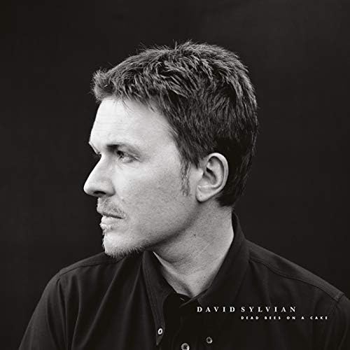 デヴィッド シルヴィアン David Sylvian Dead Bees ... Amazon.co.jp: Dead Bees on a Cake: ミュージック